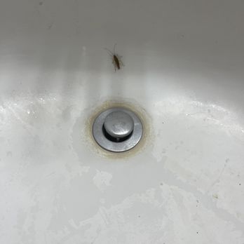 Highlands Hill Country Apartments - 3rd party exterminator told me they were likely coming in from the water line. - Apartments Near Me - Austin, Texas Highlands Hill Country Apartments - 3rd party exterminator told me they were likely coming in from the water line. - Apartments Near Me - Austin, Texas
