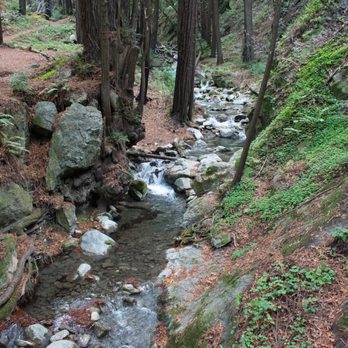 Limekiln State Park - Campgrounds Near Me - Big Sur, California