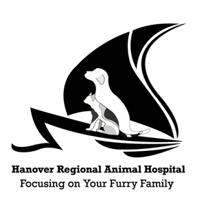 WILMINGTON ANIMAL HEALTHCARE VETERINARY HOSPITAL - Updated January 2026 ...