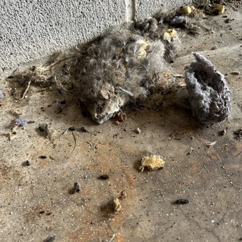 Public Storage - See the decomposing rat - Self Storage Near Me - Houston, Texas Public Storage - See the decomposing rat - Self Storage Near Me - Houston, Texas