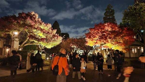 Edo-Tokyo Open Air Architectural Museum by null
