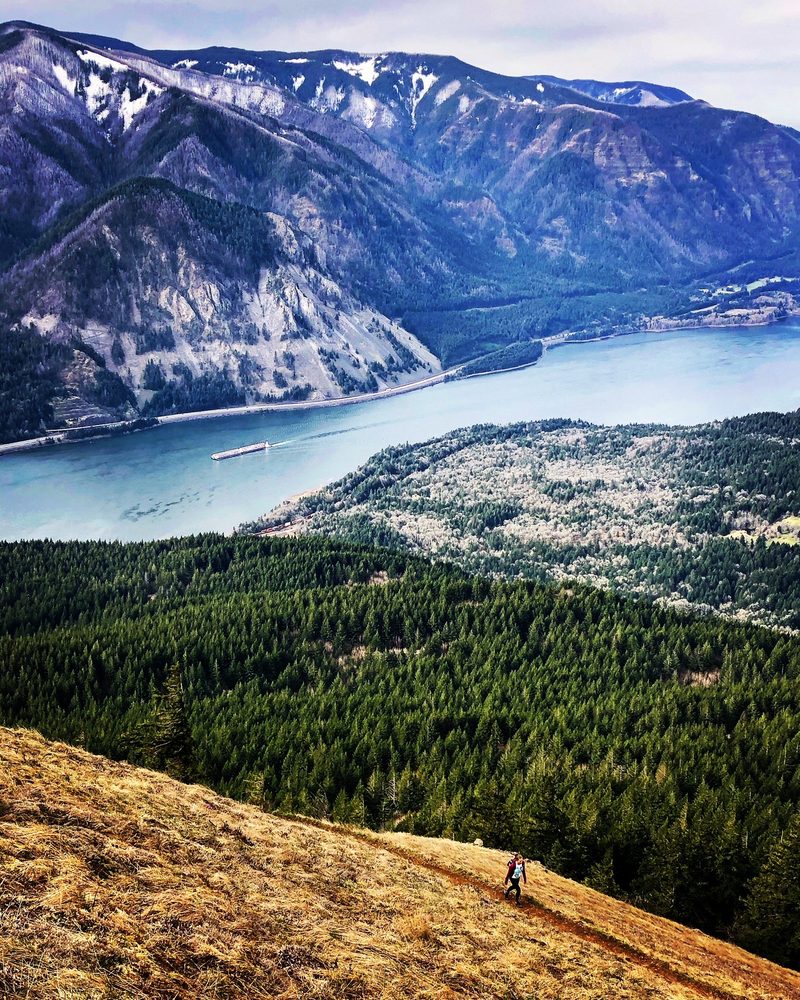 DOG MOUNTAIN TRAIL Updated September 2024 107 Photos & 30 Reviews