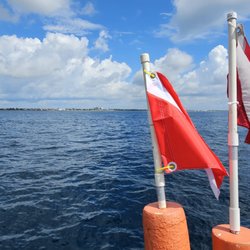 Splashdown Divers - Boynton Beach Diving!