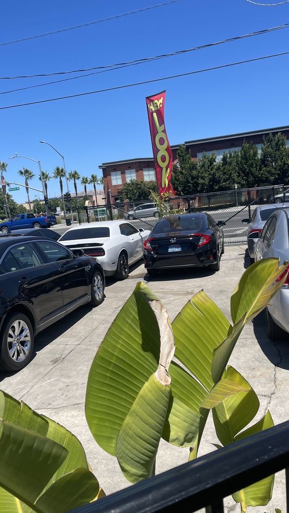 TOP NOTCH AUTO SALES Updated October 2024 17 Photos & 10 Reviews