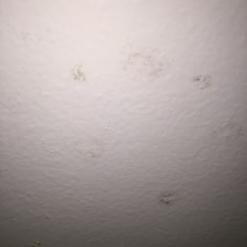 JMSred - Mold - Property Management Near Me - Signal Hill, California