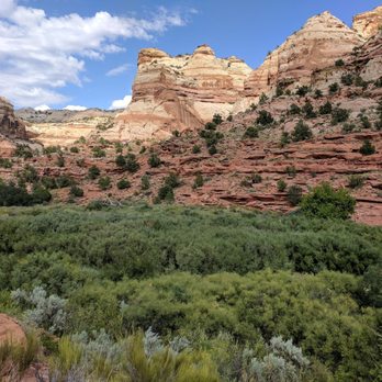 Calf Creek Falls Lower - Looking down onto the riverbed covered by Forest - Hiking Near Me - Boulder, Utah Calf Creek Falls Lower - Looking down onto the riverbed covered by Forest - Hiking Near Me - Boulder, Utah