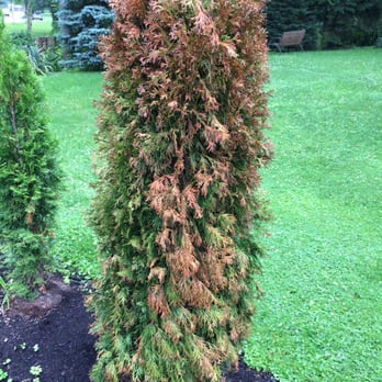 Stone Mulch & More - another quality job by Stone Mulch and More - Lawn Services Near Me - Newton Falls, Ohio Stone Mulch & More - another quality job by Stone Mulch and More - Lawn Services Near Me - Newton Falls, Ohio