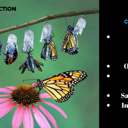 GHR Center for Addiction Recovery And Treatment