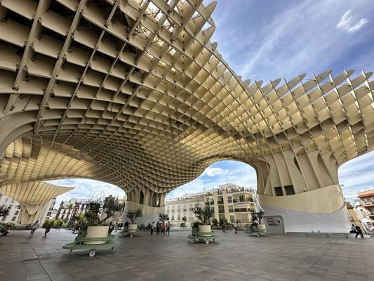 Setas de Sevilla by null