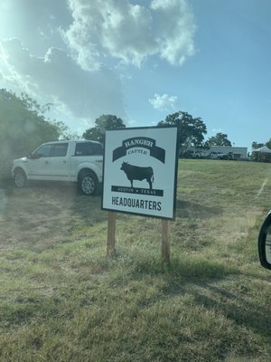 RANGER CATTLE by null