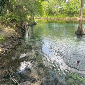 Madison Blue Springs State Park - Make sure to bring water shoes - Parks Near Me - Lee, Florida Madison Blue Springs State Park - Make sure to bring water shoes - Parks Near Me - Lee, Florida