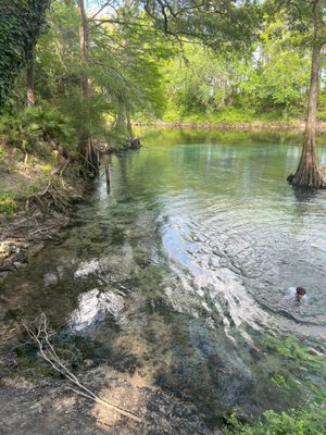 Madison Blue Spring State Park by null