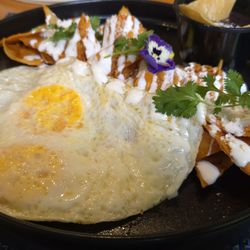Sabora - Chilaquiles Roja