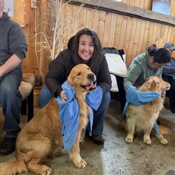 Golden Dog Farm