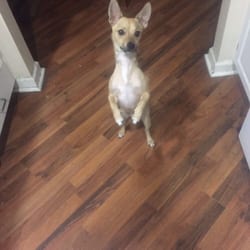 Dave's Taxi - And our family dog Snickers!