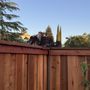 Photo of Husky Landscaping and Fencing