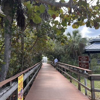 Caladesi Island State Park - Parks Near Me - Dunedin, Florida