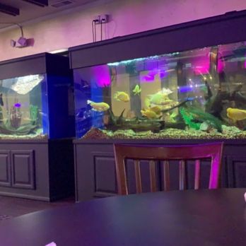 Dynasty Chinese Restaurant - Chinese Near Me - Temple, Texas Dynasty Chinese Restaurant - Chinese Near Me - Temple, Texas