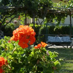 Divina Costiera - Giardino