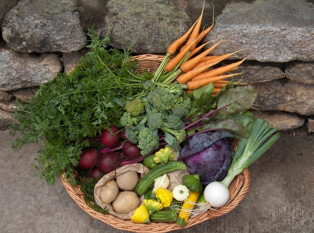 Cane Creek CSA Logo