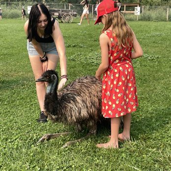 Kangaroo Creek Farm - Zoos Near Me - Kelowna, British Columbia Kangaroo Creek Farm - Zoos Near Me - Kelowna, British Columbia