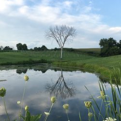 Caesar Creek Vineyard