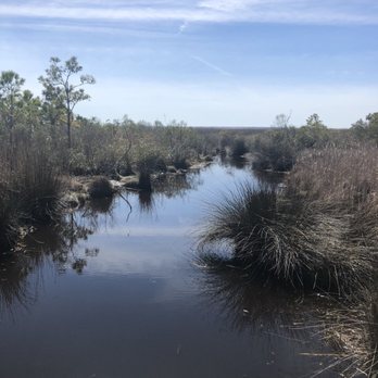 Nags Head Woods Ecological Preserve - ADA trail - Parks Near Me - Kill Devil Hills, North Carolina