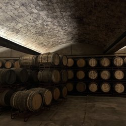 Cava Freixenet