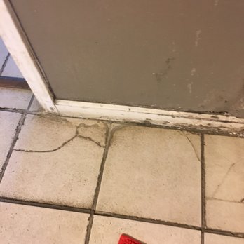 Yosemite International Hostel - Mold, dirt, grime - Hostels Near Me - Groveland, California Yosemite International Hostel - Mold, dirt, grime - Hostels Near Me - Groveland, California