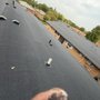 AAA Standard Roofing