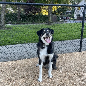 Laguna Veterinary Hospital - Veterinarians Near Me - Santa Rosa, California