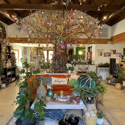 Cambria Nursery Downtown - That tree!