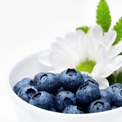 Focused Nutrition and Wellness