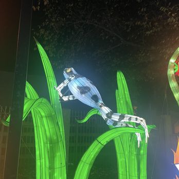 Boston Lights: A Lantern Experience - Local Flavor Near Me - Boston, Massachusetts