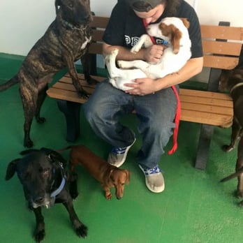 The Dog District - Pet Training Near Me - Darien, Illinois