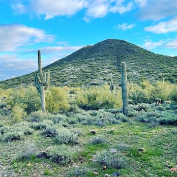 Cave Creek Trail Rides - Horseback Riding Near Me - Cave Creek, Arizona