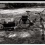 Photo of Cyclic Nature