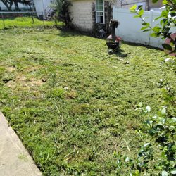 NEPA Lawn Busters