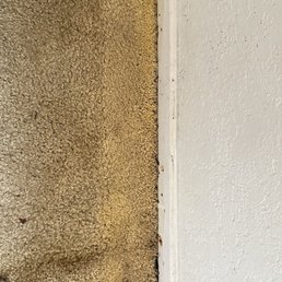 Mold