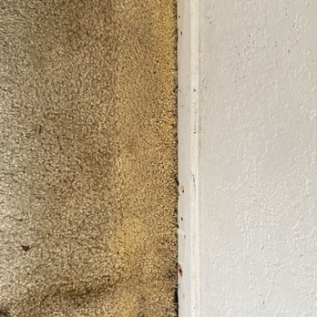 Lodi Property Management - Mold - Property Management Near Me - Lodi, California