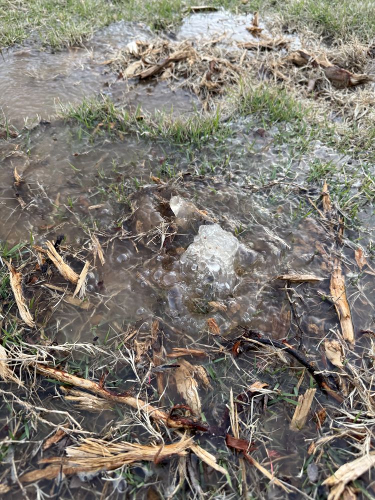 Jon's Tree Service - tree service in Pelham, AL