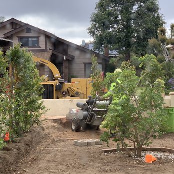First Class Tree Service - Stump grinding - Tree Services Near Me First Class Tree Service - Stump grinding - Tree Services Near Me