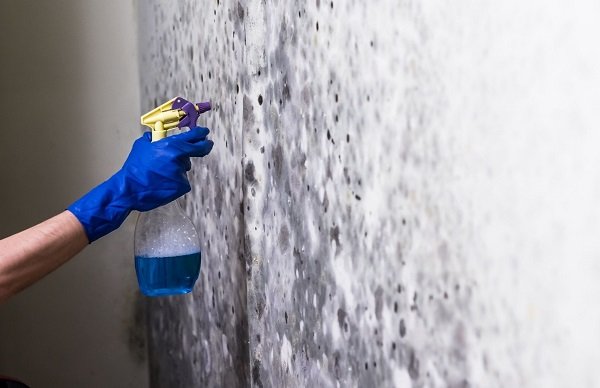 Tulsa Mold Removal - mold inspector in Tulsa, OK
