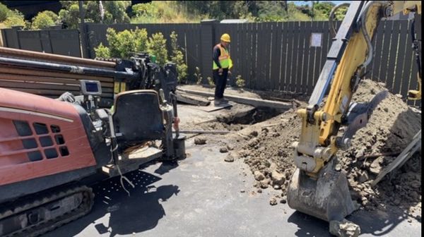 Donald Newton Plumbing Logo