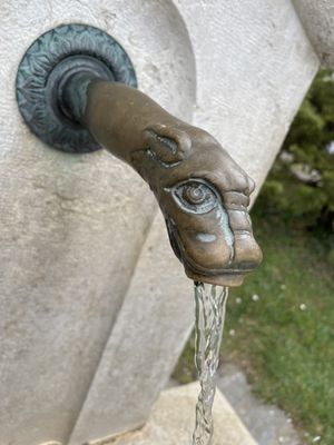 Conservatoire et Jardin botaniques de Genève by null