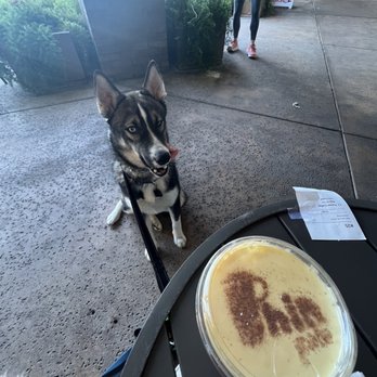 Phin Cafe - Jax approved - Bubble Tea Near Me - San Jose, California Phin Cafe - Jax approved - Bubble Tea Near Me - San Jose, California