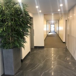 ENT And Allergy Associates - Lobby