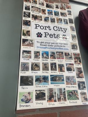 Port City Coffee Roasters by null