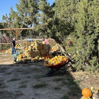 Friends in Need Animal Sanctuary - Community Service/Non-Profit Near Me - Eagle Mountain, Utah Friends in Need Animal Sanctuary - Community Service/Non-Profit Near Me - Eagle Mountain, Utah