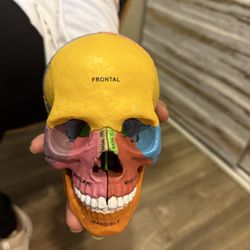 Green Dentistry